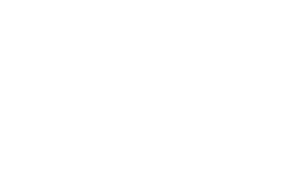 FemmeItForwardWhite.png